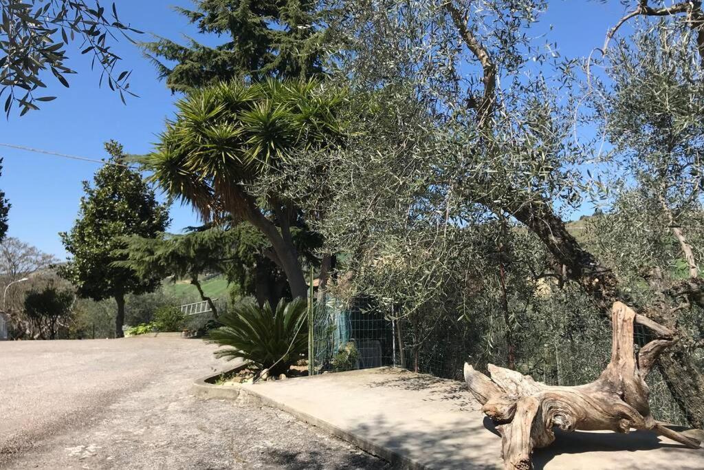 Appartement Casa lu Monaco tranquillità a due passi dal mare à Porto d'Ascoli Extérieur photo